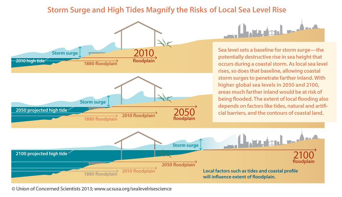 The Effects that Sea Level Rise Will