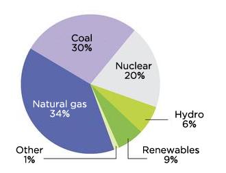 Pie chart showing energy sources with renewables only representing 9%
