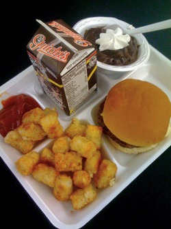 School Lunches Government Regulations are Unhealthy for