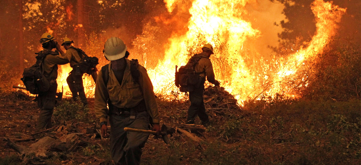 Is Global Warming Fueling Increased Wildfire Risks Union - 