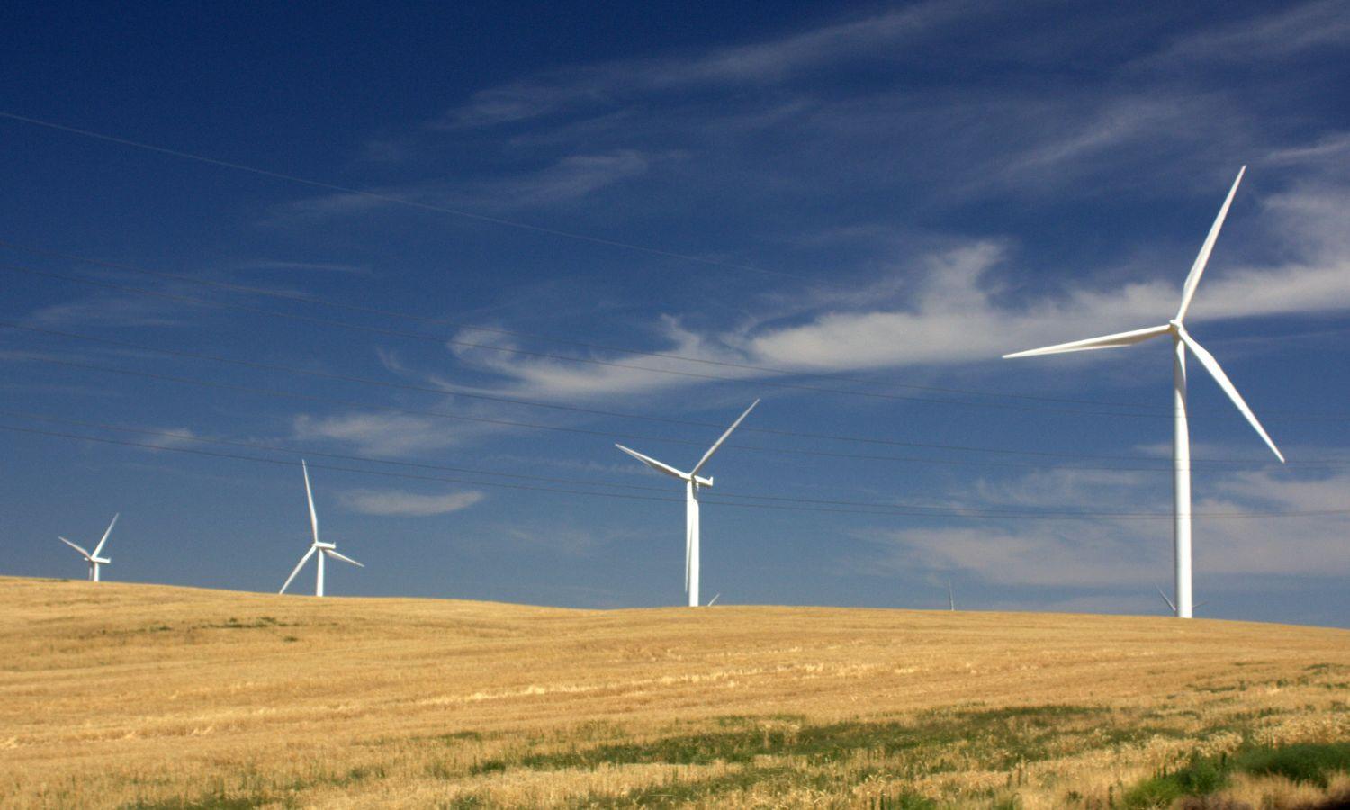 A landscape with four wind turbines.