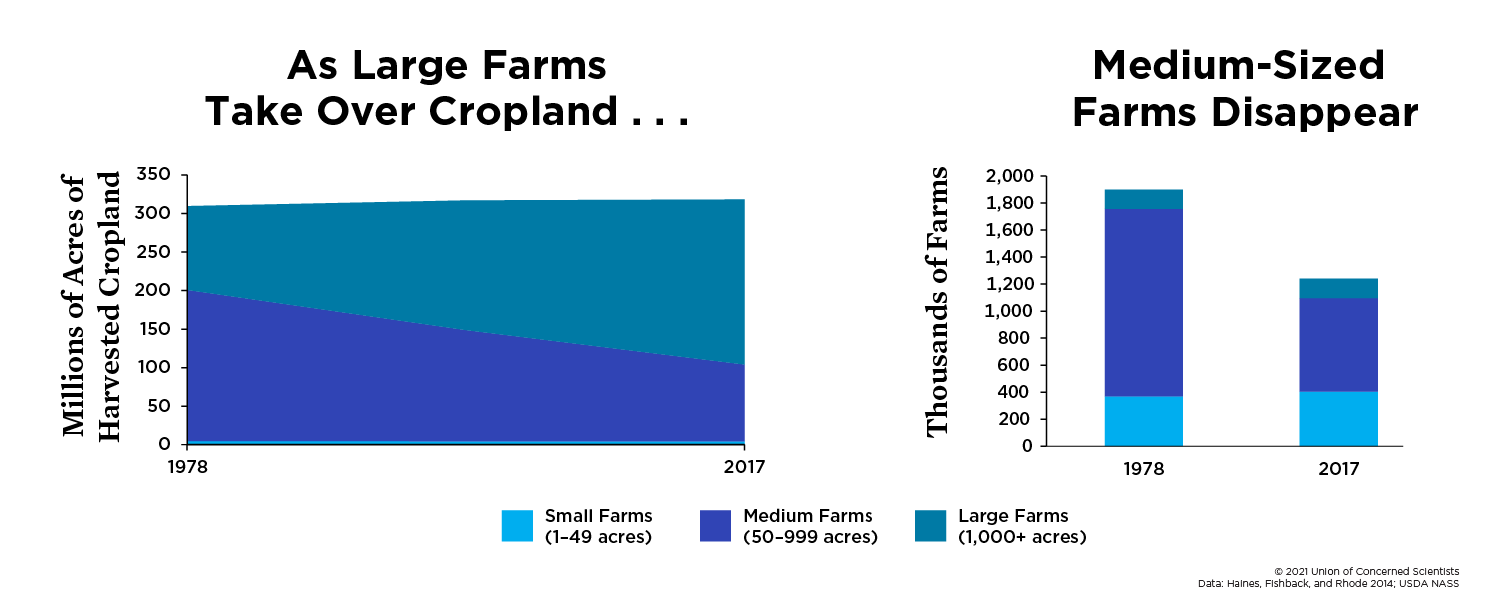 Two graphs showing how large farms have taken over cropland at the expense of medium-sized farms