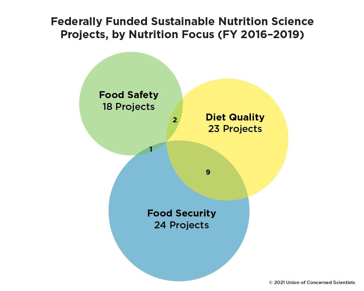 Federally Funded Sustainable Nutrition Science Projects, by Nutrition Focus, FY 2016–2019