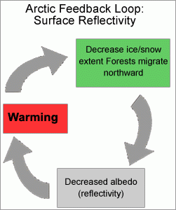 Arctic feedback loop graphic