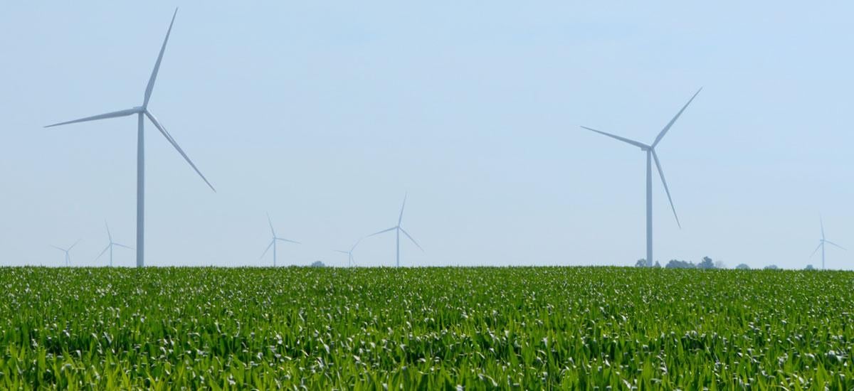 wind turbines above a corn field in Michigan