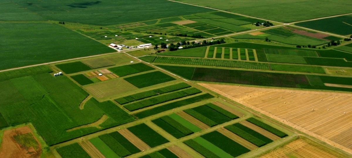 An aerial view of a farm.