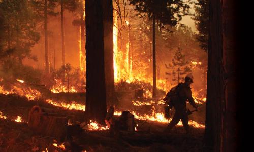 Firefighter walking, surrounded by blazing wildfire