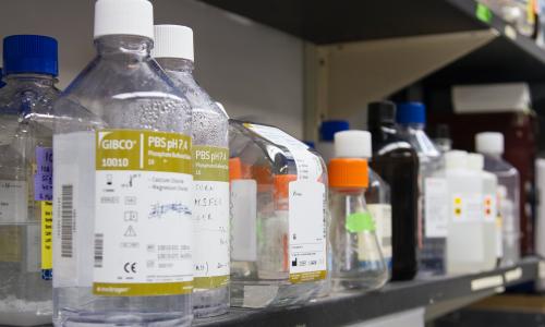 Glass bottles of chemicals on a lab shelf.