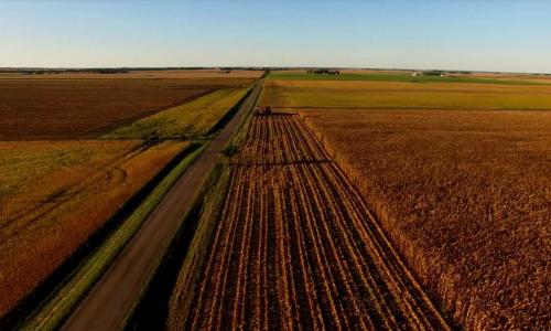 Farm with cornfields stretching to the horizon