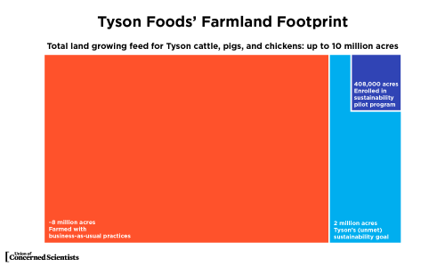 A graphic showing the total land growing feed for Tyson cattle, pigs, and chickens.