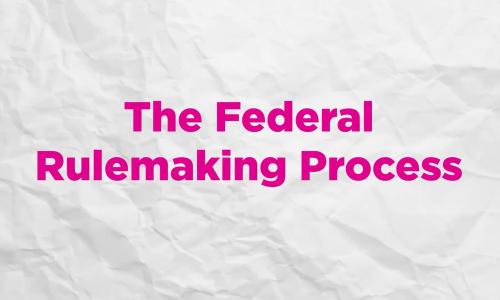 Pink text over a white background that says "The Federal Rulemaking Process."