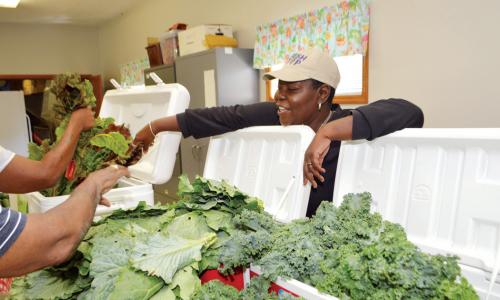 Providing healthy food to those in need