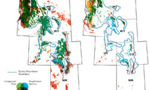 map of projected changes in rocky mountain tree species ranges